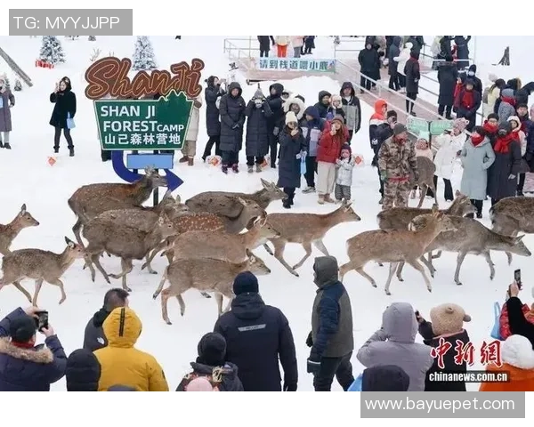 冰超伊春冰雪森林穿越超级联赛盛大开幕森工系统专场赛精彩纷呈 冰超伊春冰雪森林穿越超级联赛盛大开幕森工系统专场赛精彩纷呈