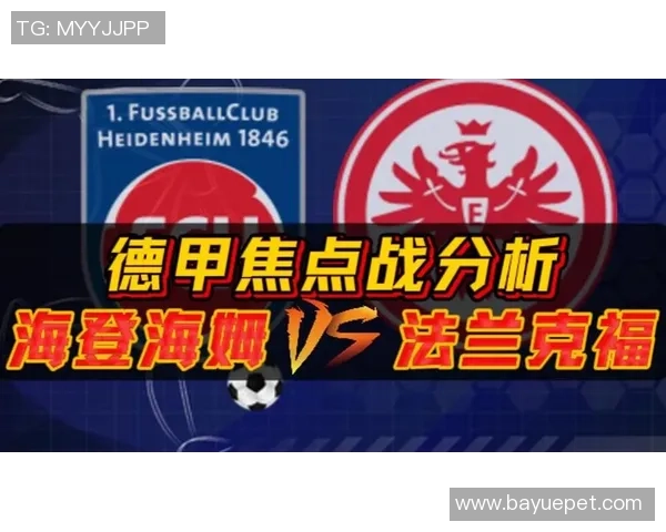 德甲焦点战海登海姆主场迎战弗赖堡全方位赛事分析与预测 德甲焦点战海登海姆主场迎战弗赖堡全方位赛事分析与预测